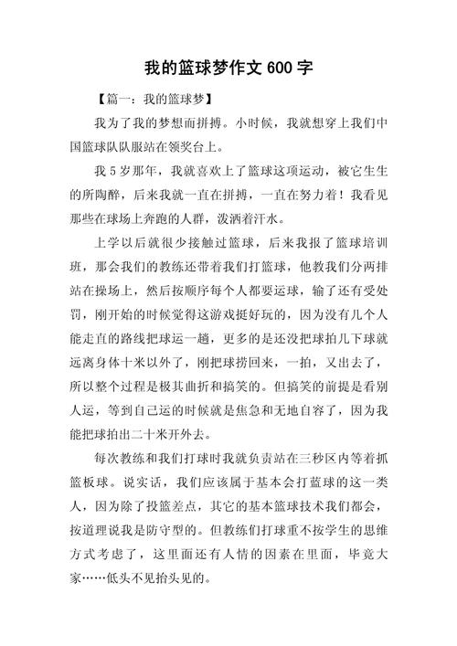 篮球说明文600字