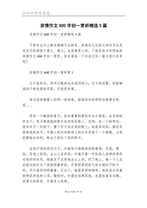 亲情是伟大的600字