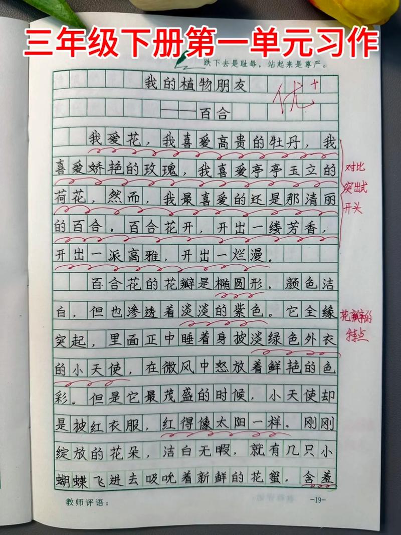 三年级的植物作文有哪些