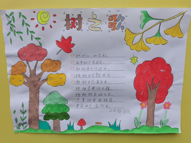 大树的作用有哪些一年级