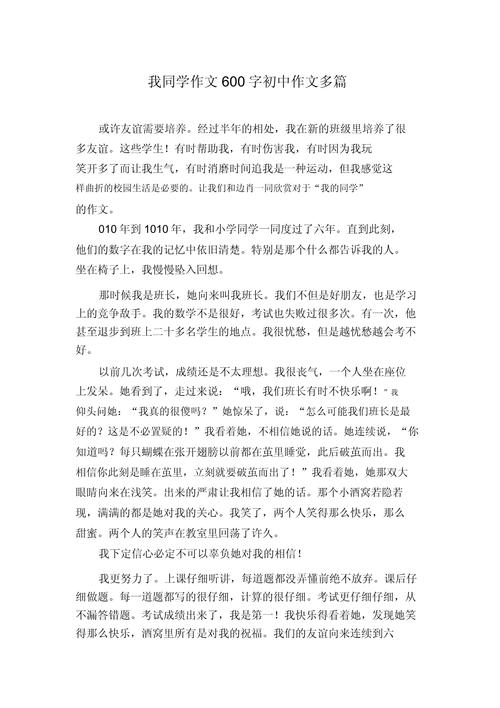 理解同学的作文600字