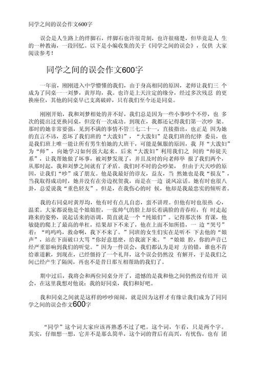 理解同学的作文600字