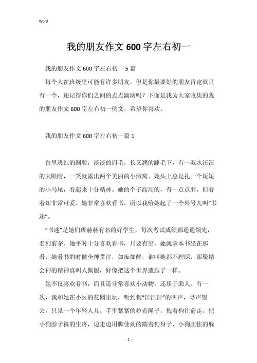 我的老友作文600字