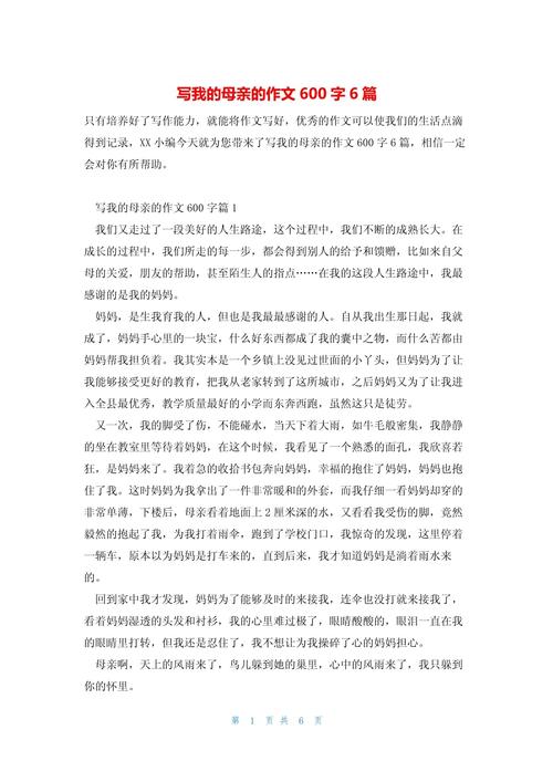 我和我的母亲600字