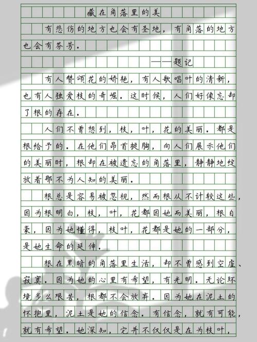 藏在角落美作文600字