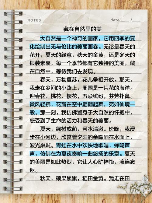 藏在角落美作文600字