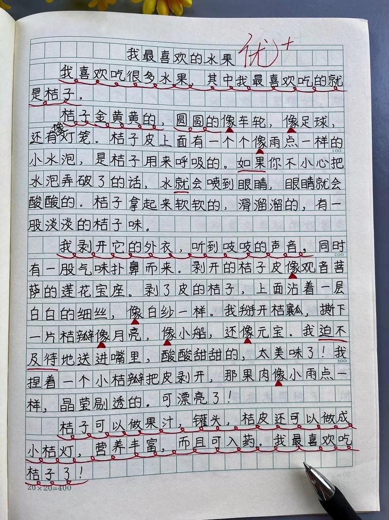 三年级事物的作文有哪些