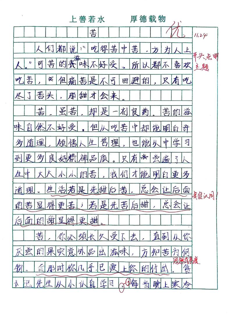 学校里的苦600字
