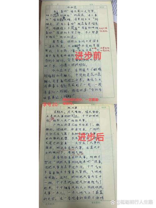 上三年级你有哪些进步