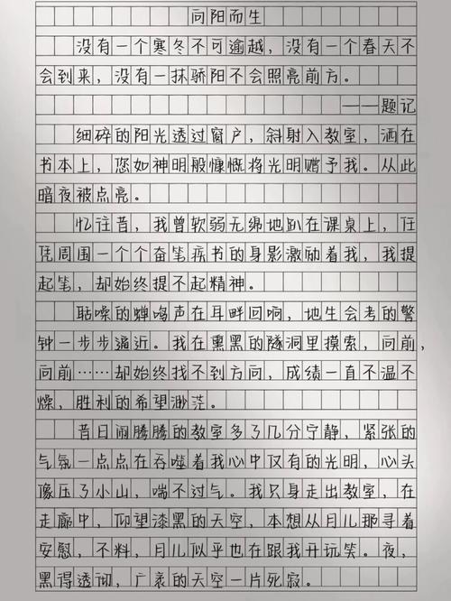 我心向阳600字作文