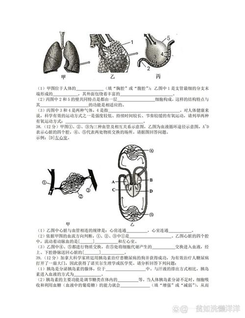 2025七下生物期末卷重点考什么？