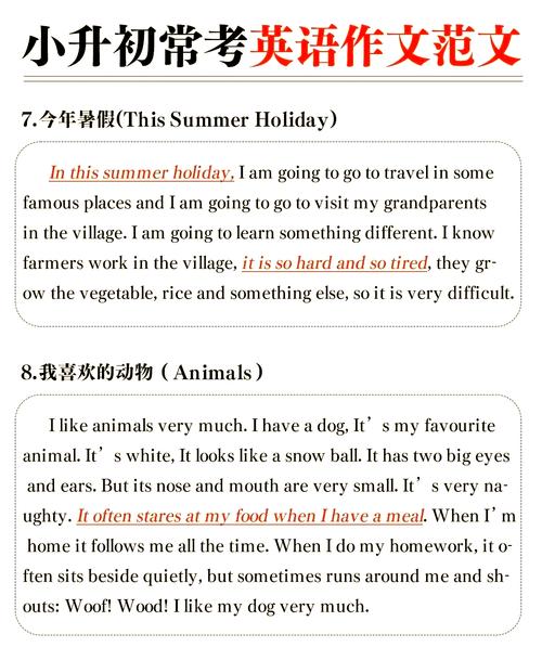 If I I will作文，错在哪儿？