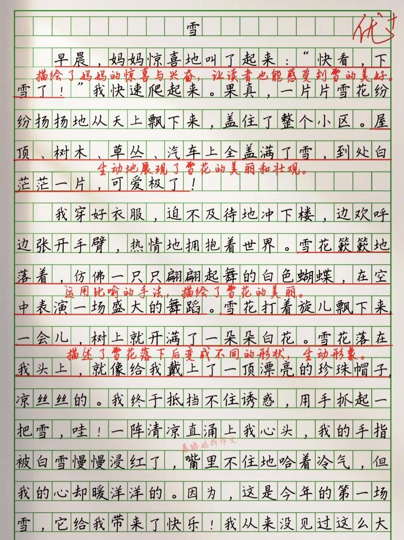 雪中故事藏着怎样的温暖与成长?