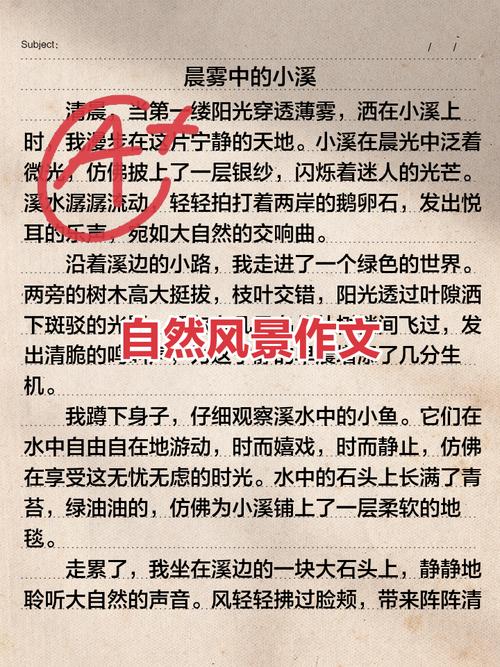 抬头看,真能看到不一样的风景吗?