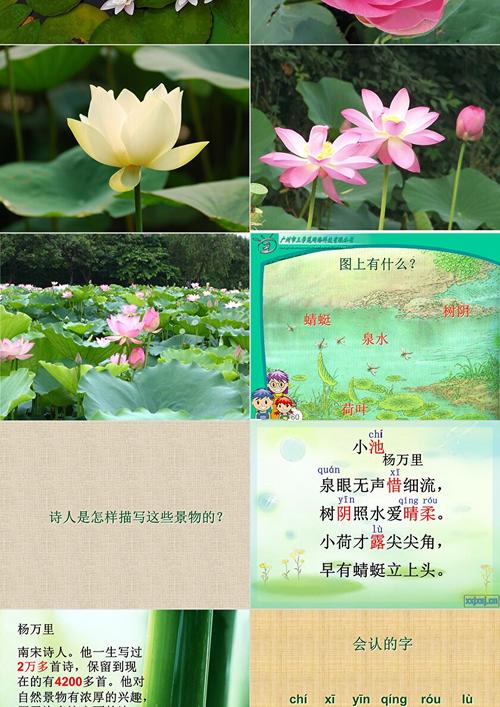 幼儿古诗课件PPT该如何制作?