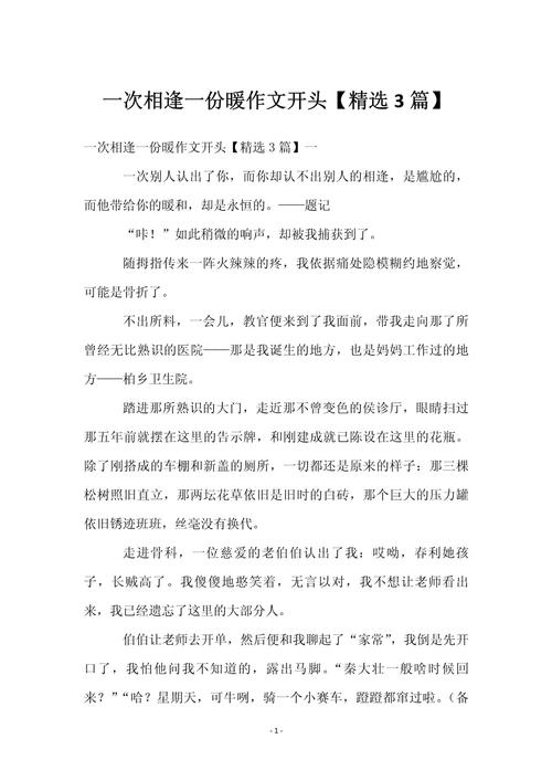 一次相逢一份暖作文800字