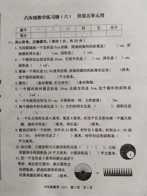 六年级上册数学第五单元试卷答案是什么?