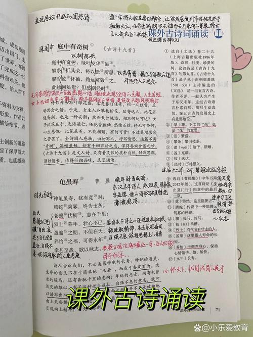 八上古诗词默写有哪些易错字？