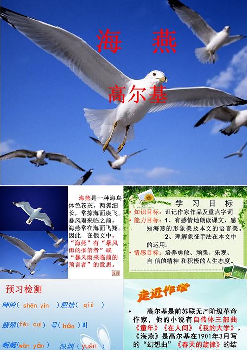八年级下册语文 海燕 ppt