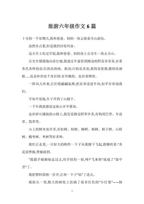 闲对风光独自游作文600字