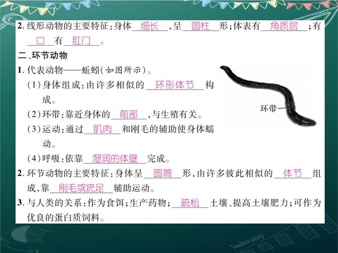 新人教版八年级上册生物PPT哪里有下载？