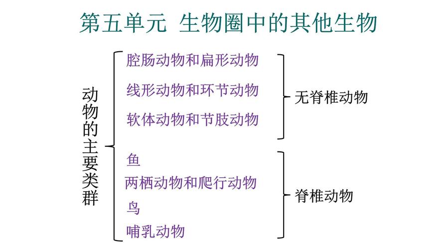 新人教版八年级上册生物PPT哪里有下载?