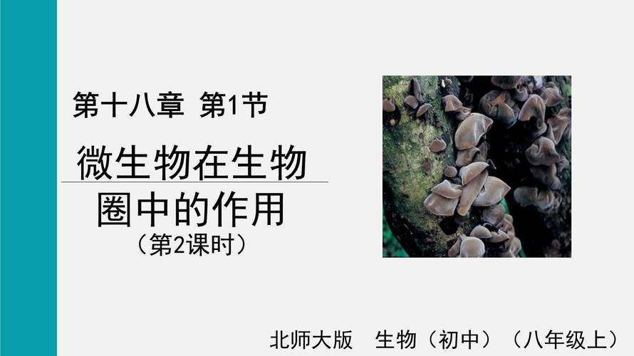 新人教版八年级上册生物PPT哪里有下载?