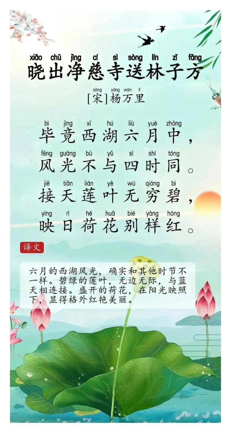 为何西湖六月景不同?