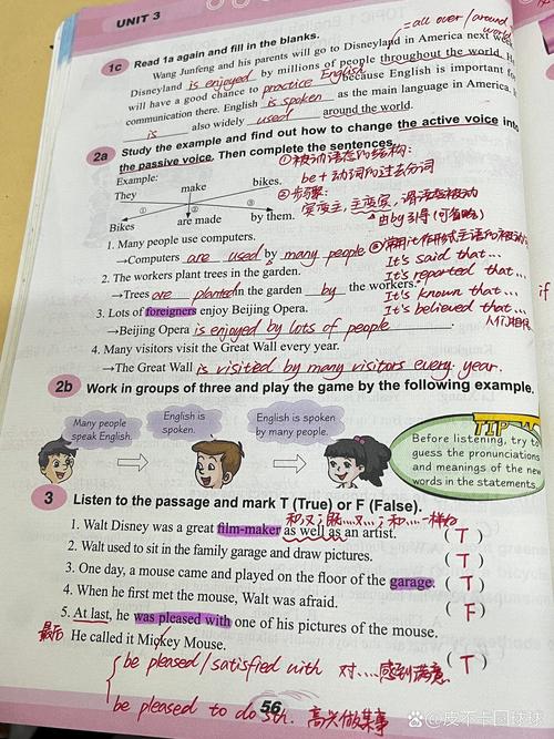 仁爱英语七上Unit3核心知识点是什么？