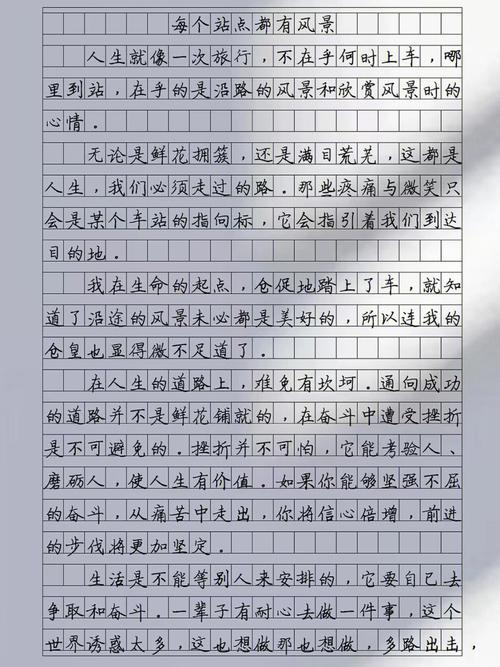 每一个站点都有风景的作文