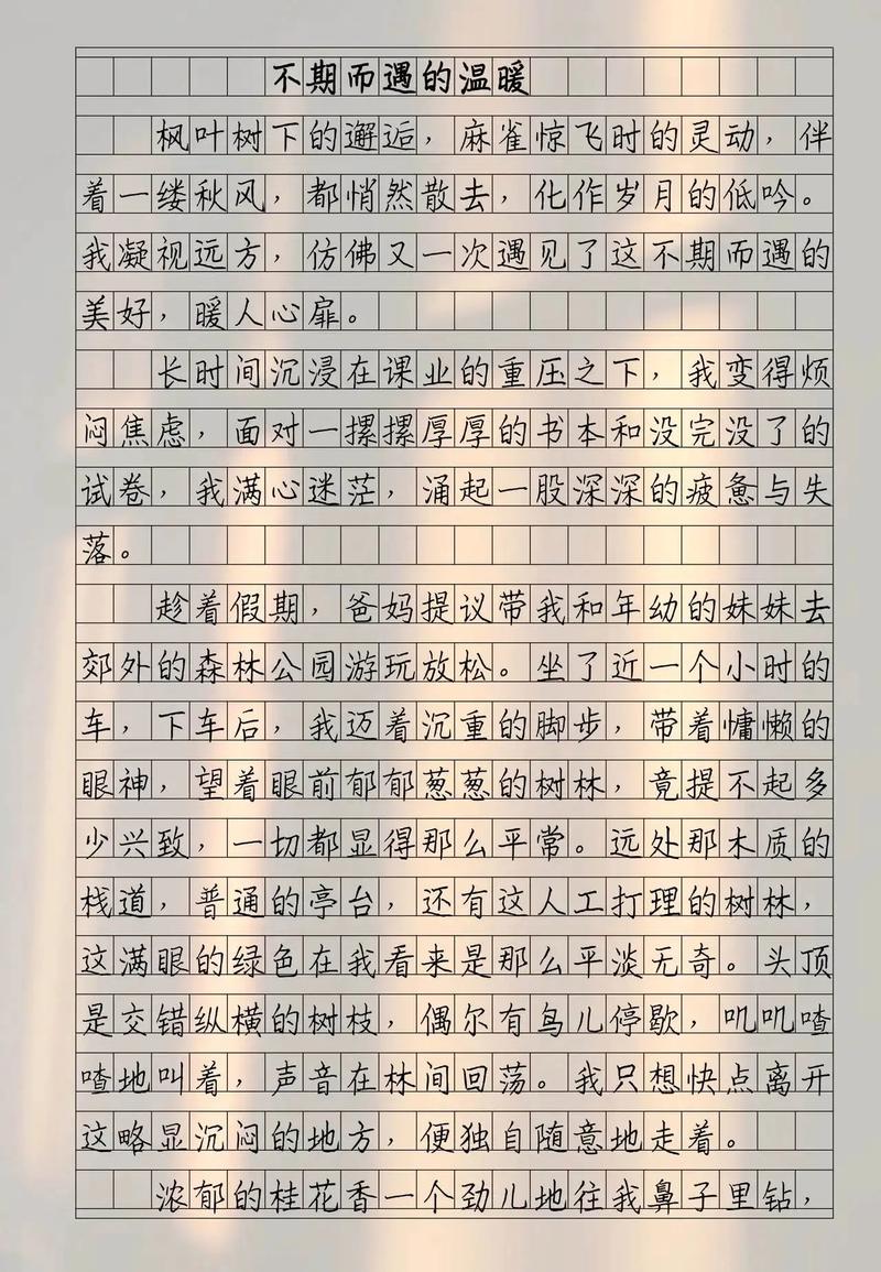 不期而遇的温暖,作文里藏着怎样的暖心故事?