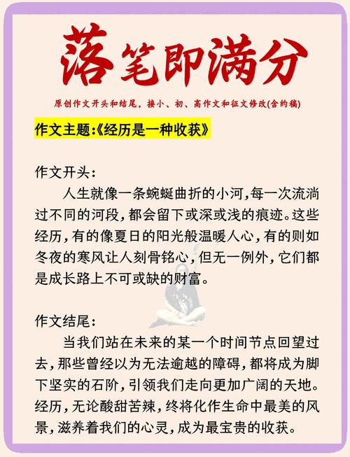 作文经历收获何在？