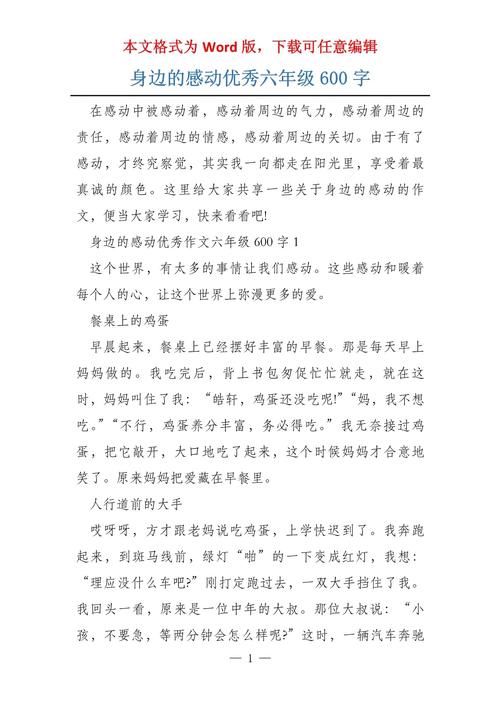 身边的微感动,为何总能暖到心尖?