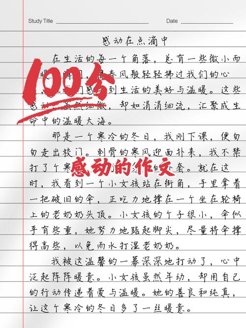 身边的微感动,为何总能暖到心尖?