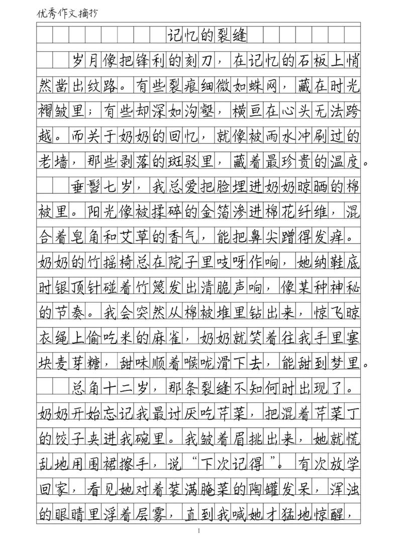 2025镇江中考满分作文