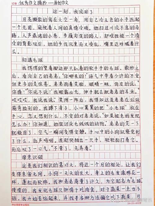 为何我不相信眼泪成为作文主题?