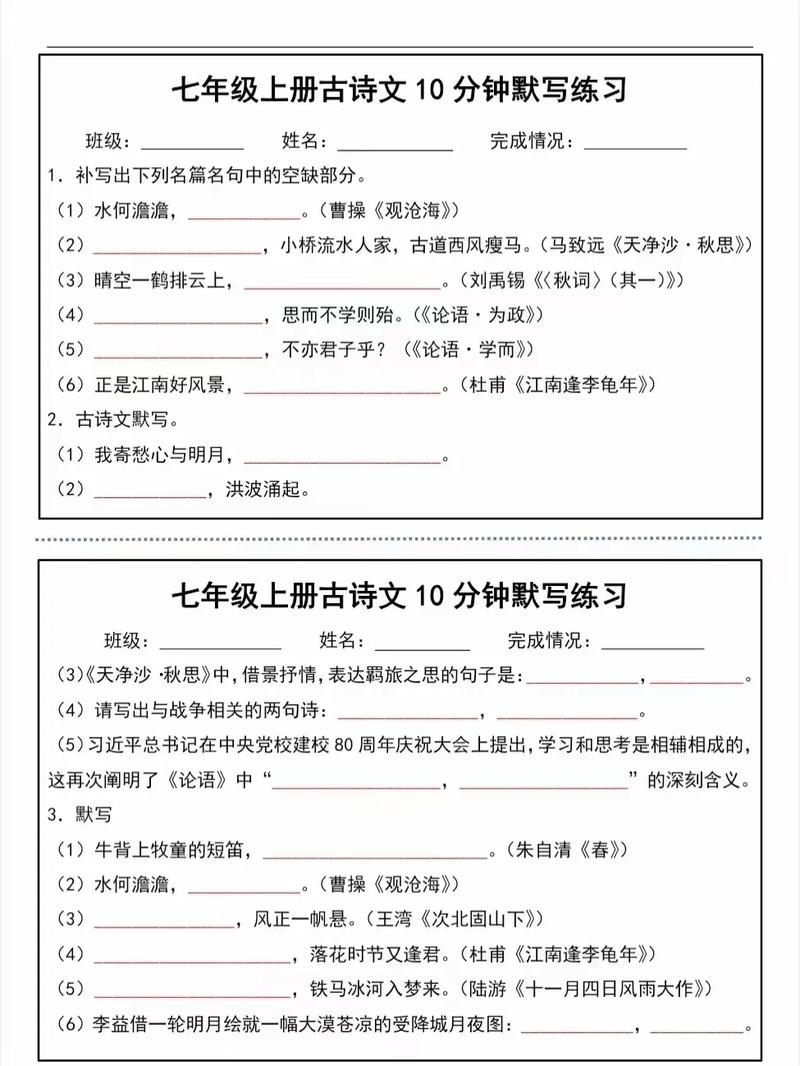 七年级古诗文测试卷答案正确吗？