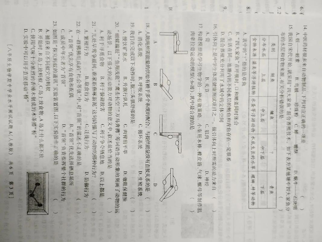 八年级上册生物期中试卷答案在哪里？