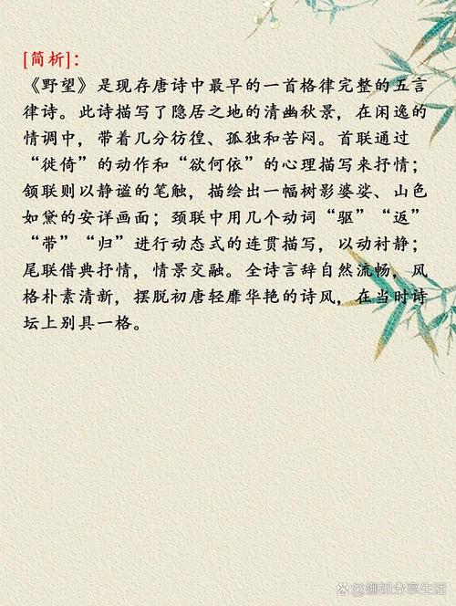 初中八年级上古诗词有哪些必考点?