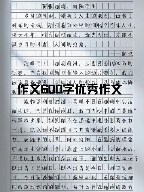 初中作文600字范文如何借鉴？