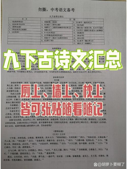 初三下册古诗文背诵经典，如何高效记忆？
