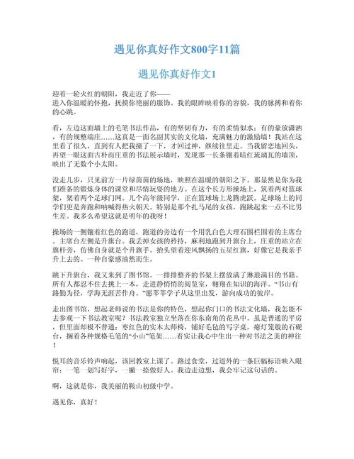 又见为何能承载真好的温暖与力量?