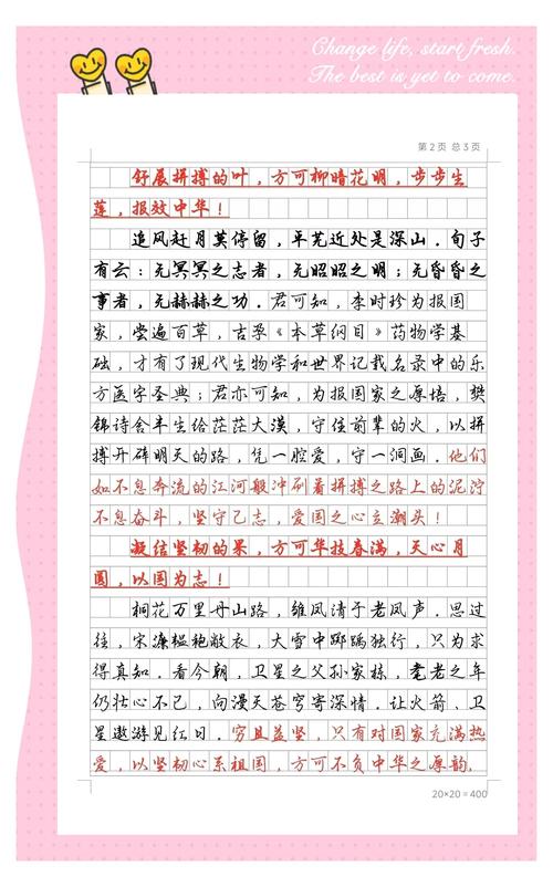 2025高考文言文作文