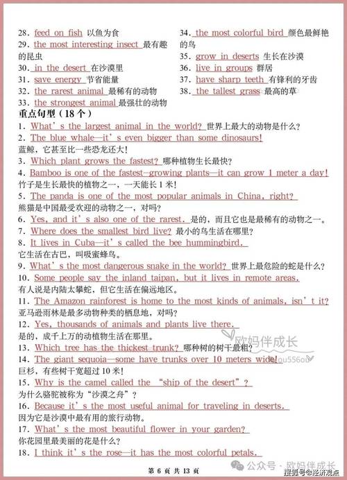 人教版八年级上册英语重点短语