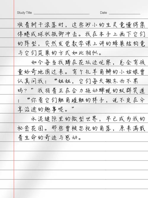 这里也有乐趣,何处藏趣?