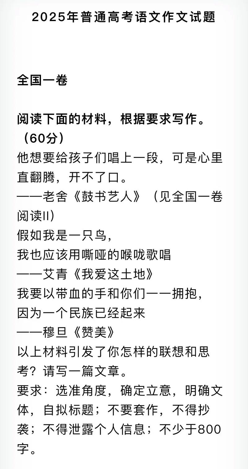2025高考湖北卷作文