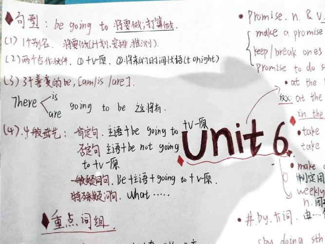 八年级上册英语第六单元知识点有哪些重点？