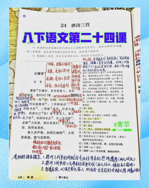 初二古诗词赏析答案怎么找?