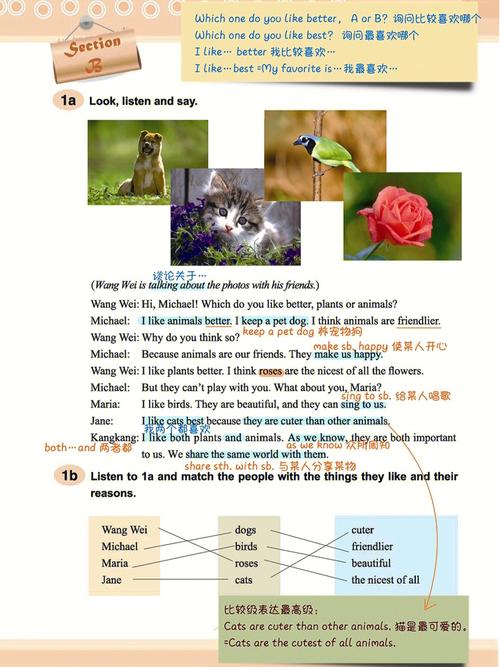 仁爱版英语八年级上册课文翻译准确吗？