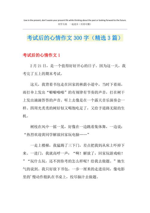 考试过后作文300字,写了什么?